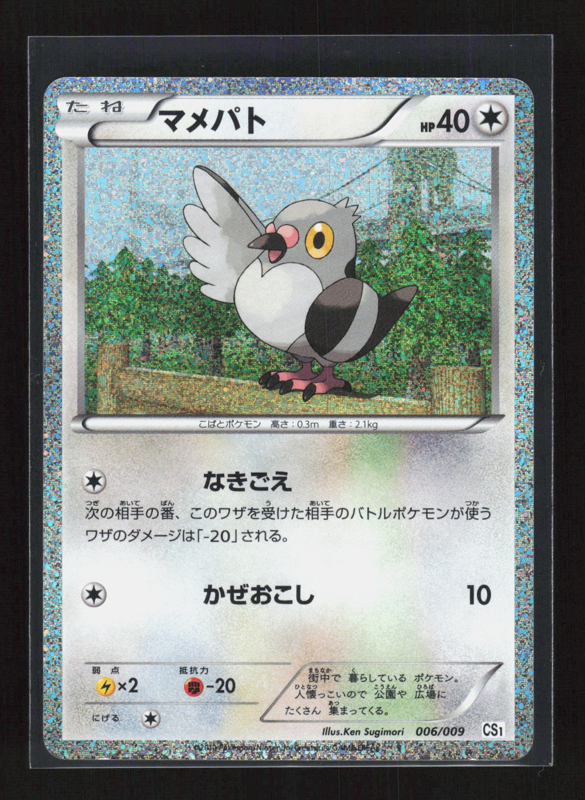 Pokémon Pidove 006/009 – BW Entry Set (JP) Rare Holo – Vorderseite