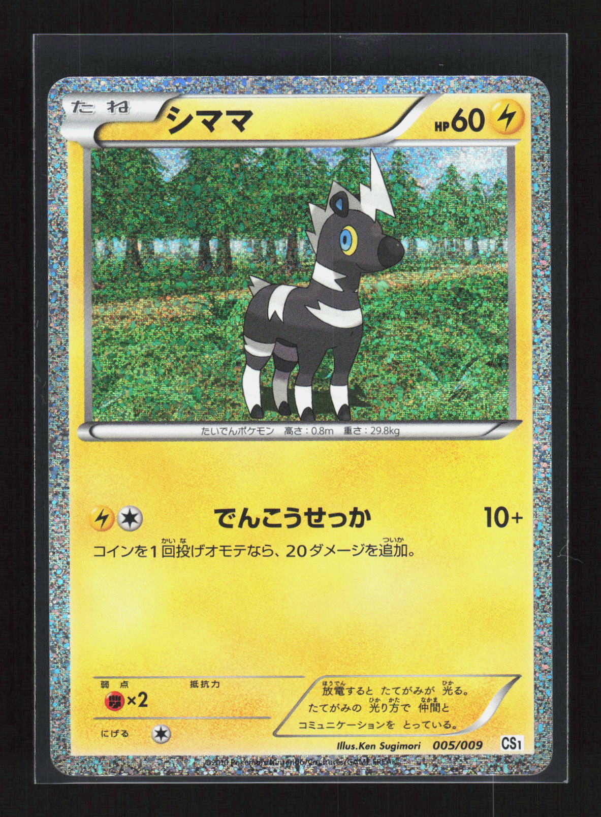 Pokémon Blitzle 005/009 – BW Entry Set (JP) Common Holo – Vorderseite