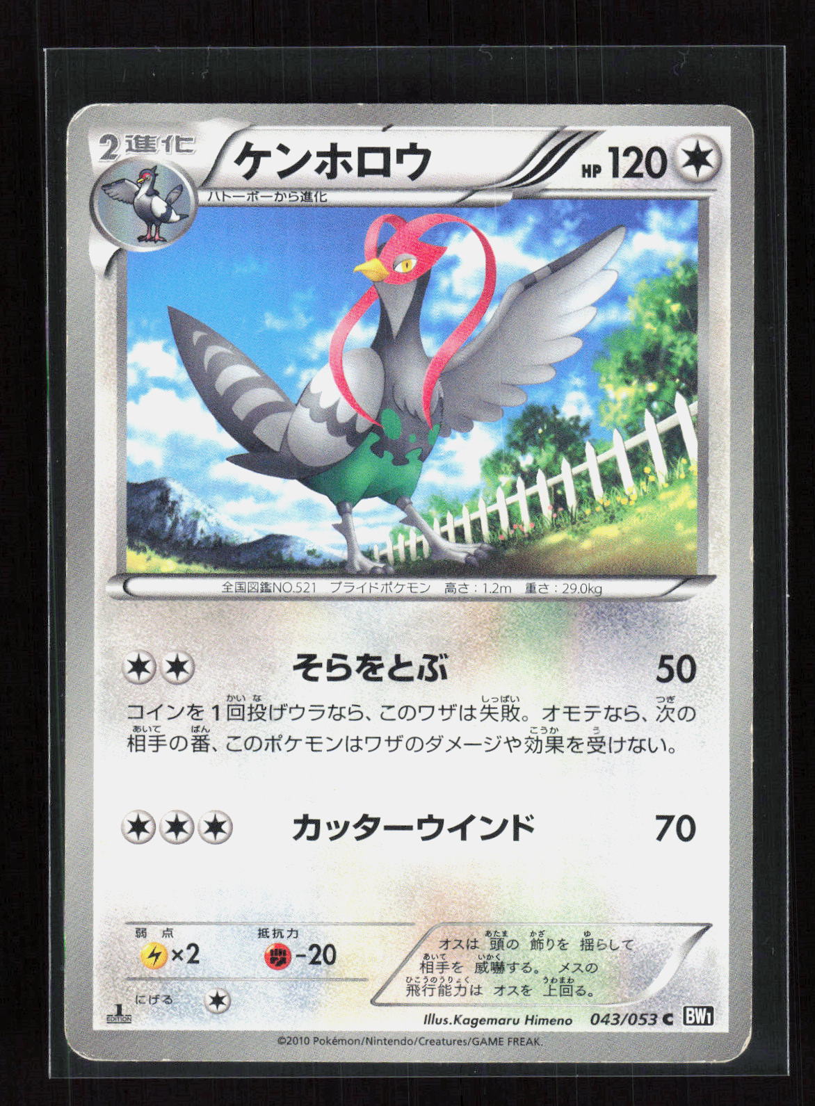 Pokémon Unfezant 043/053 – Black Collection (JP) Common PL – Vorderseite