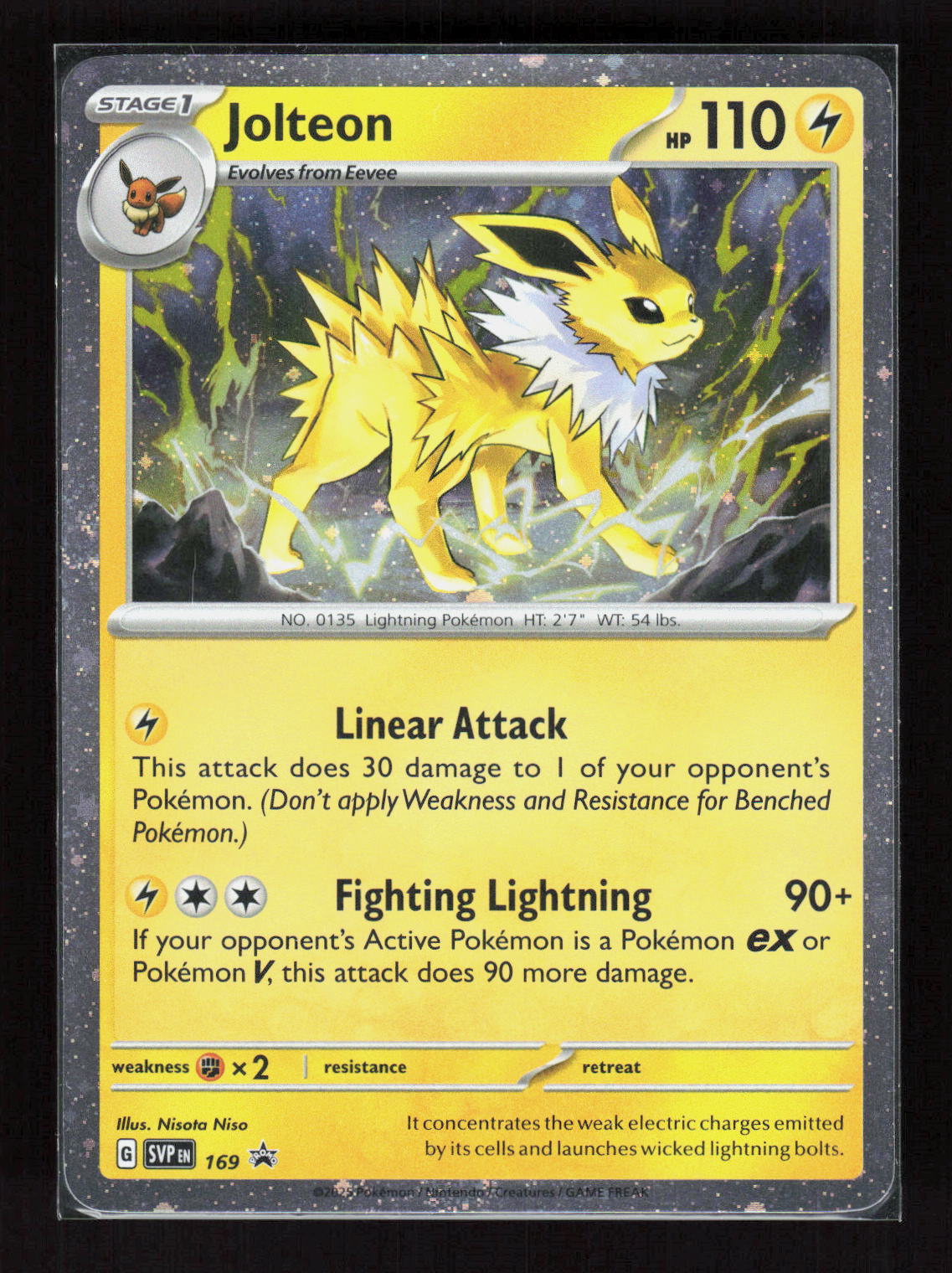 Pokémon Jolteon 169 – Black Star Promos (EN) Promo Holo – Vorderseite