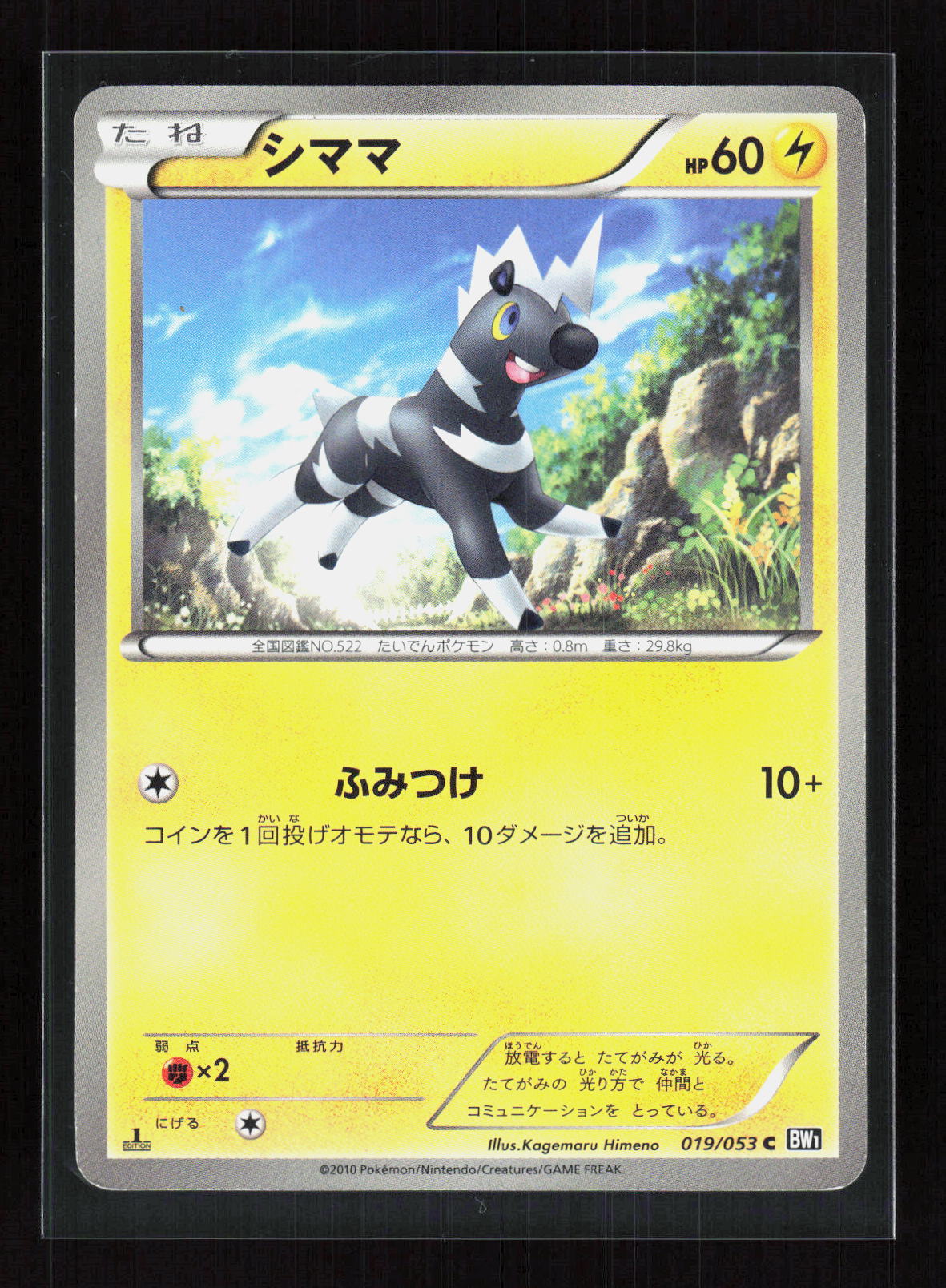 Pokémon Blitzle 019/053 – Black Collection (JP) Common PL – Vorderseite