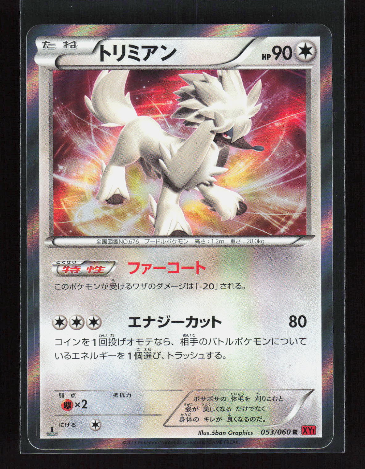 Pokémon Furfrou 053/060 – Collection X / Collection Y (JP) Rare Holo – Vorderseite